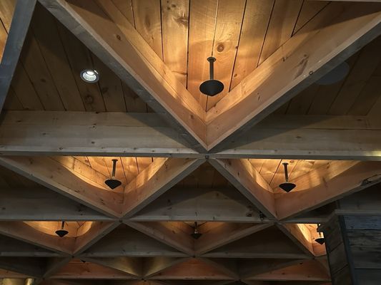 Hen of the Wood - Burlington by null