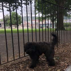 Manayunk Dog Park of Pretzel Park