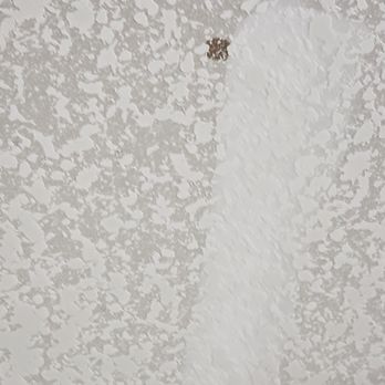 Dunn Rite Construction - Drywall Damaged - General Contractors Near Me - Lake Worth, Florida Dunn Rite Construction - Drywall Damaged - General Contractors Near Me - Lake Worth, Florida