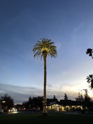 Sonoma Plaza by null