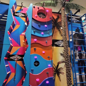 The Plex - Spider climb, overhang, and tree climb. - Venues & Event Spaces Near Me - San Jose, California