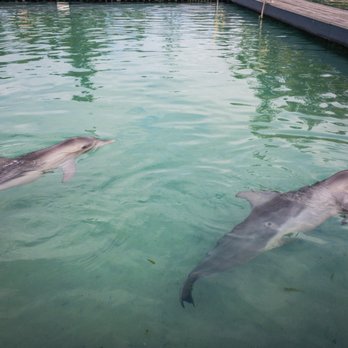 Sea World - Venues & Event Spaces Near Me - Main Beach, QLD Sea World - Venues & Event Spaces Near Me - Main Beach, QLD