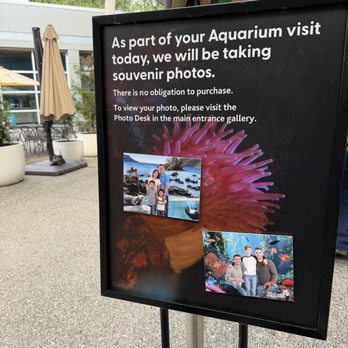 Vancouver Aquarium - Aquariums Near Me - Vancouver, British Columbia Vancouver Aquarium - Aquariums Near Me - Vancouver, British Columbia
