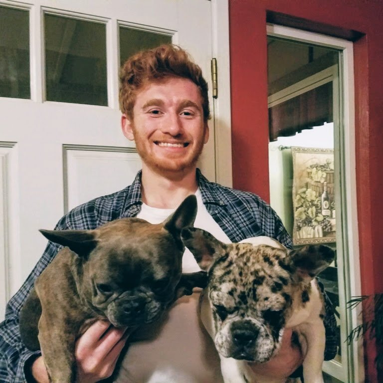 FOUR PAWS FORWARD Updated June 2024 12 Photos San Francisco