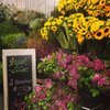 Fresh Ideas Flower Company gift card