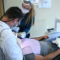 Elm Dental Care - Untitled