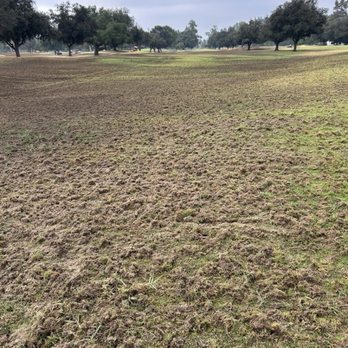 Brookside Golf Club - Just one of the many cow pasture fairways. - Golf Near Me - Pasadena, California