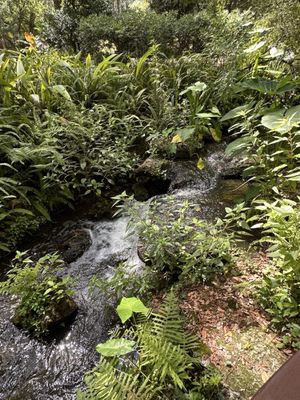 Kanapaha Botanical Gardens by null