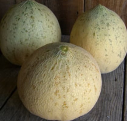 Crane Melon Barn by null