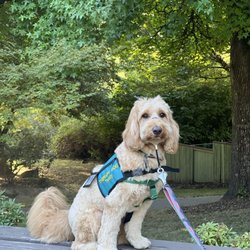 A&M Pet