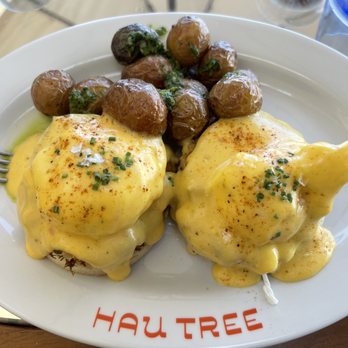 Hau Tree - Crab cake Benedict - Seafood Near Me - Honolulu, Hawaii Hau Tree - Crab cake Benedict - Seafood Near Me - Honolulu, Hawaii
