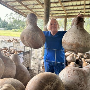Susan Watson Gourds - Farms Near Me - Chiefland, Florida Susan Watson Gourds - Farms Near Me - Chiefland, Florida