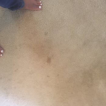 The Green Mop - Carpet stains - Home Cleaning Near Me - Arlington, Virginia The Green Mop - Carpet stains - Home Cleaning Near Me - Arlington, Virginia