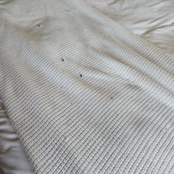 Dead flies on the bedding.