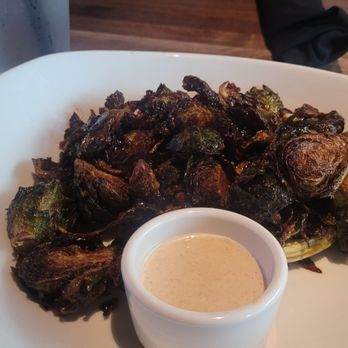 Yard House - Bars Near Me - Sunrise, Florida Yard House - Bars Near Me - Sunrise, Florida