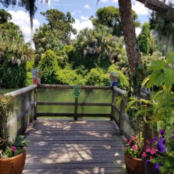 Silver Dolphin - Outdoor seating - American Near Me - Hernando Beach, Florida