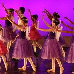 Willow Park Dance Academy