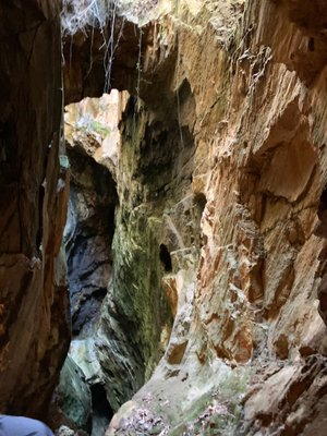 Consolidated Gold Mine by null