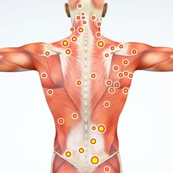 Taiji Rubbing - Trigger point. - Massage Near Me - New York, New York Taiji Rubbing - Trigger point. - Massage Near Me - New York, New York