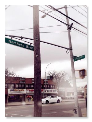 Q-Lash Eyelash Extensions&Brows by null