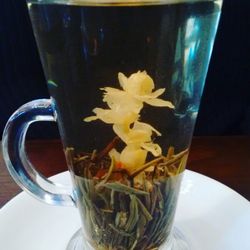 Piacere - A real jasmine in my tea!