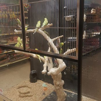 Petco - Pet Stores Near Me - Downey, California Petco - Pet Stores Near Me - Downey, California