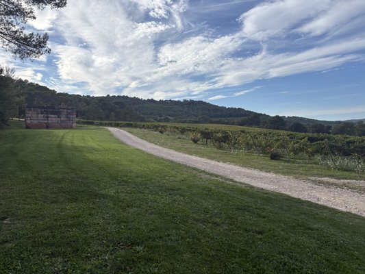 Château La Coste by null