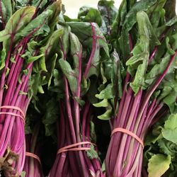 West Reading Farmers Market