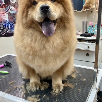 17th and Pawlished - Pet Groomers Near Me - Greeley, Colorado 17th and Pawlished - Pet Groomers Near Me - Greeley, Colorado
