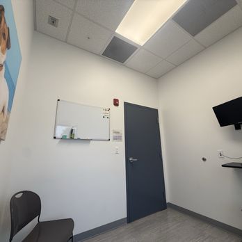 EcoVets - Interior rooms - Emergency Pet Hospital Near Me - St Augustine, Florida