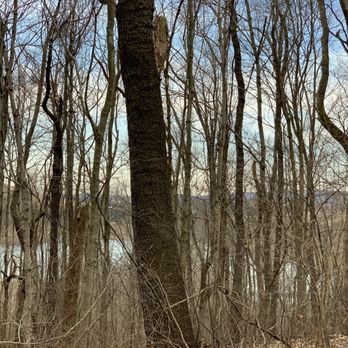 Mammoth Park - Parks Near Me - Mount Pleasant, Pennsylvania