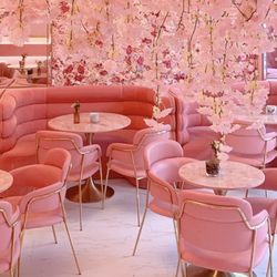 Pink Velvet