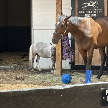 Churchill Downs - Horses - Horse Racing Near Me - Louisville, Kentucky