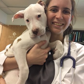 Ark Animal Hospital - Dr. Link with sweet Cindy Lou - Veterinarians Near Me - Philomath, Oregon Ark Animal Hospital - Dr. Link with sweet Cindy Lou - Veterinarians Near Me - Philomath, Oregon