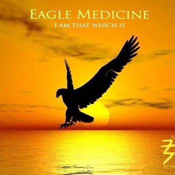 Movement Focus - Guided Meditation to meet your power animal - Yoga Near Me Movement Focus - Guided Meditation to meet your power animal - Yoga Near Me