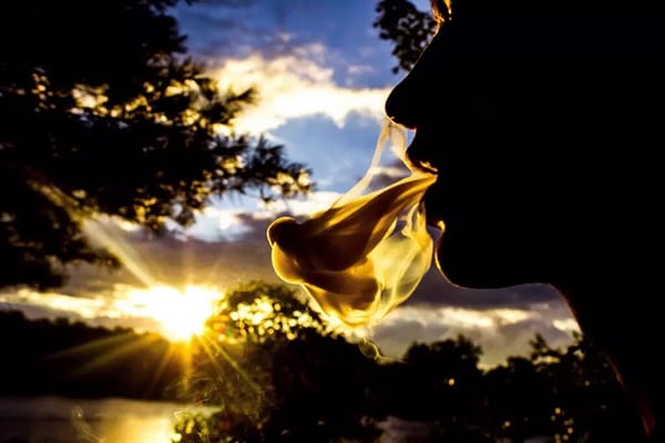 Alternative Herbal Health Services (AHHS ) ZZFlux WeHo by null