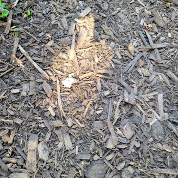 The Mulch Center - Nurseries & Gardening Near Me - Volo, Illinois The Mulch Center - Nurseries & Gardening Near Me - Volo, Illinois