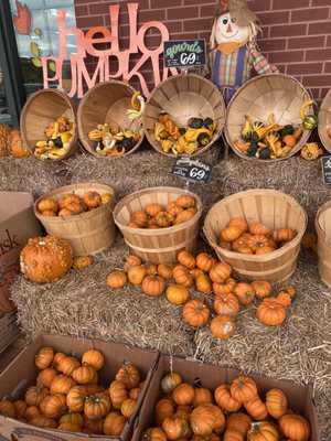 Trader Joe's by null