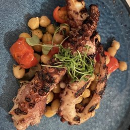 Amazing Octopus (sorry animal)