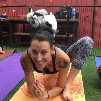 ATX Goat Yoga - Yoga Near Me - Bastrop, Texas ATX Goat Yoga - Yoga Near Me - Bastrop, Texas