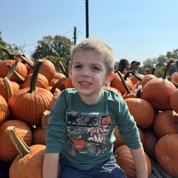 Linvilla Orchards - My boy wanted a pic with the pumpkins - Farmers Market Near Me - Media, Pennsylvania Linvilla Orchards - My boy wanted a pic with the pumpkins - Farmers Market Near Me - Media, Pennsylvania