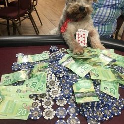 Toronto Aces Poker Club