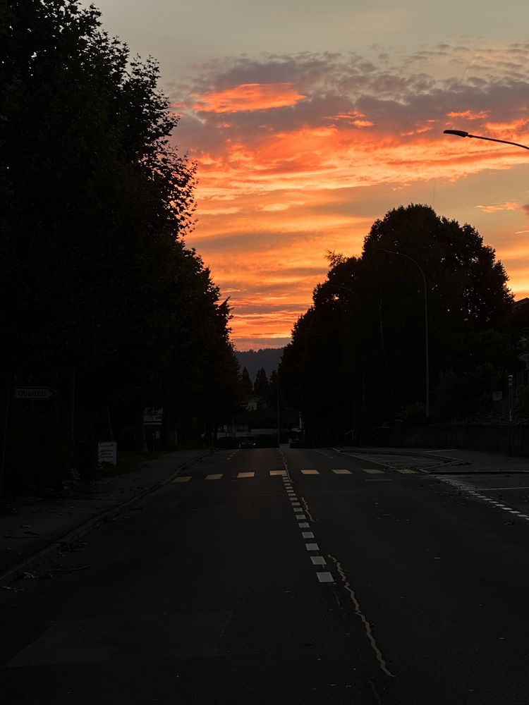 Hotel-Restaurant Felmis