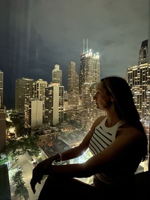 Viceroy Chicago by null