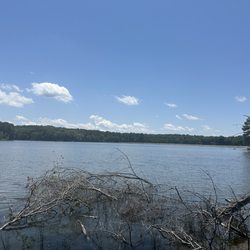 Herb Parsons Lake - Great fishing trip