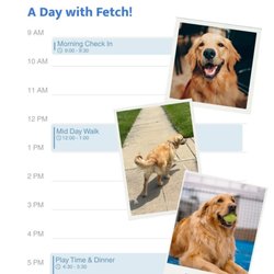 Fetch! Pet Care East Hollywood