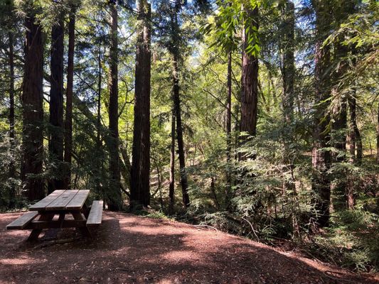 North Sonoma Mountain Regional Park by null