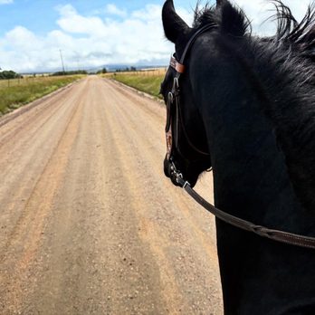 Adkins Horsemanship - Exploring new and uncertain areas with Beau - Horseback Riding Near Me - Rye, Colorado