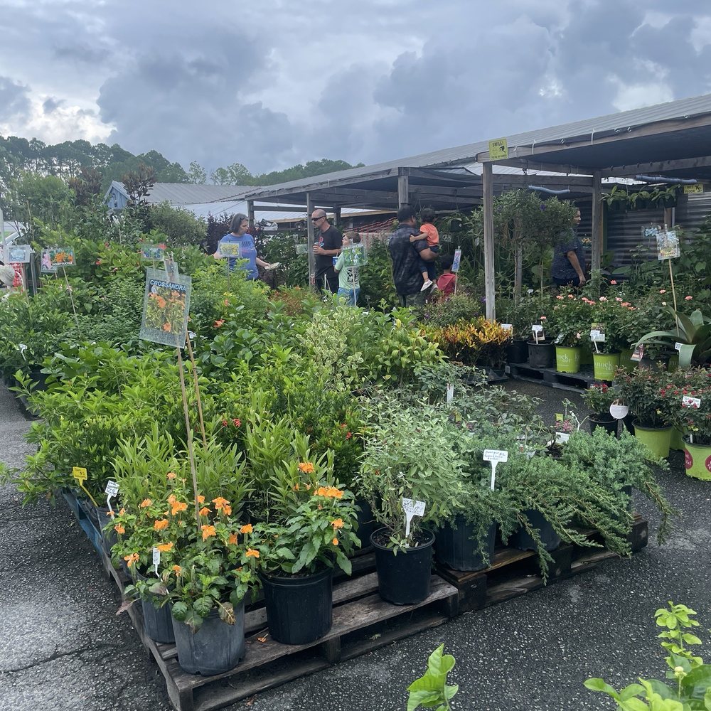 Beach Boulevard Flea Market - So many plants! - Flea Markets Near Me - Jacksonville, Florida Beach Boulevard Flea Market - So many plants! - Flea Markets Near Me - Jacksonville, Florida