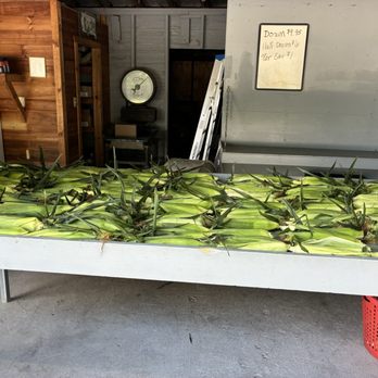 Moses Vegetable Stand - CORN!!!! - Fruits & Veggies Near Me - Eagle Bridge, New York Moses Vegetable Stand - CORN!!!! - Fruits & Veggies Near Me - Eagle Bridge, New York